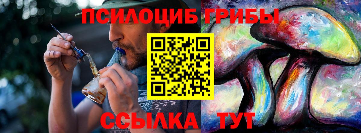 Кострома  Галлюциногенные грибы ЛСД  Галлюциногенные грибы мицелий  Вход с VPN 